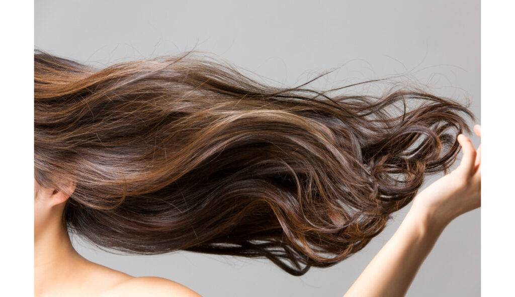 8_picture-large | Jean Marc Joubert