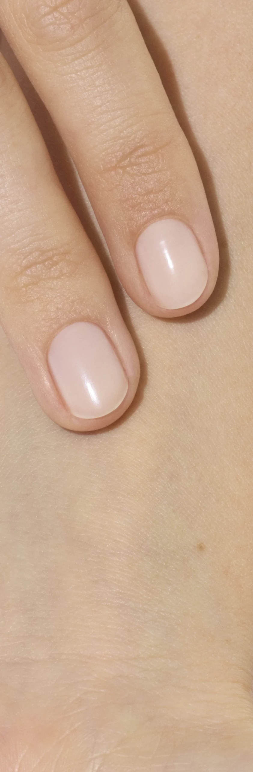 produit: Active Smooth 00