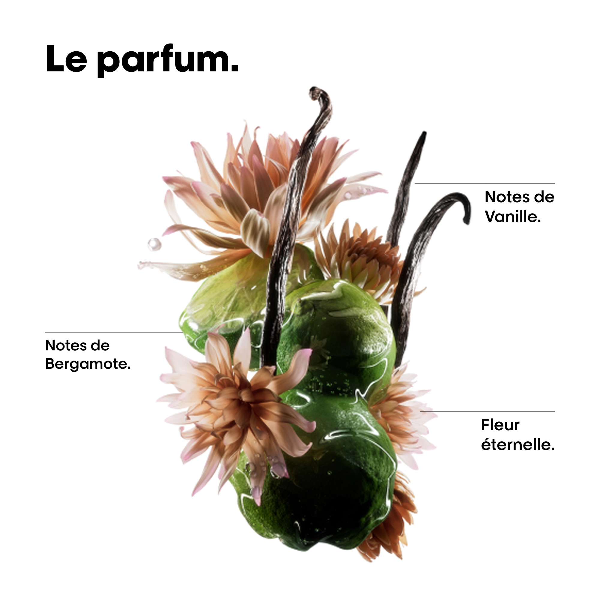 produit: Huile Absolut Repair Molecular