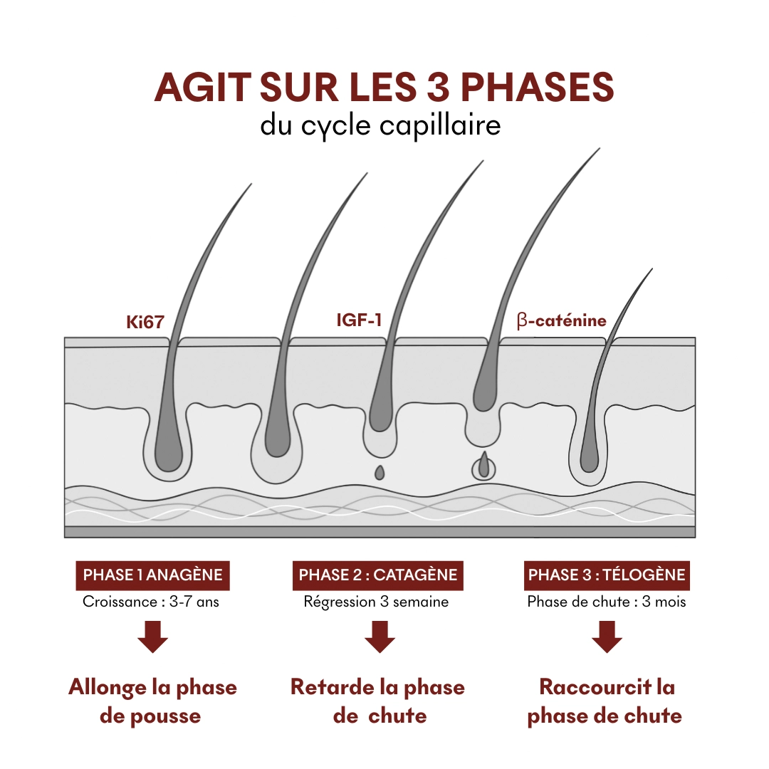 produit: Serum Croissance Tricho-boost
