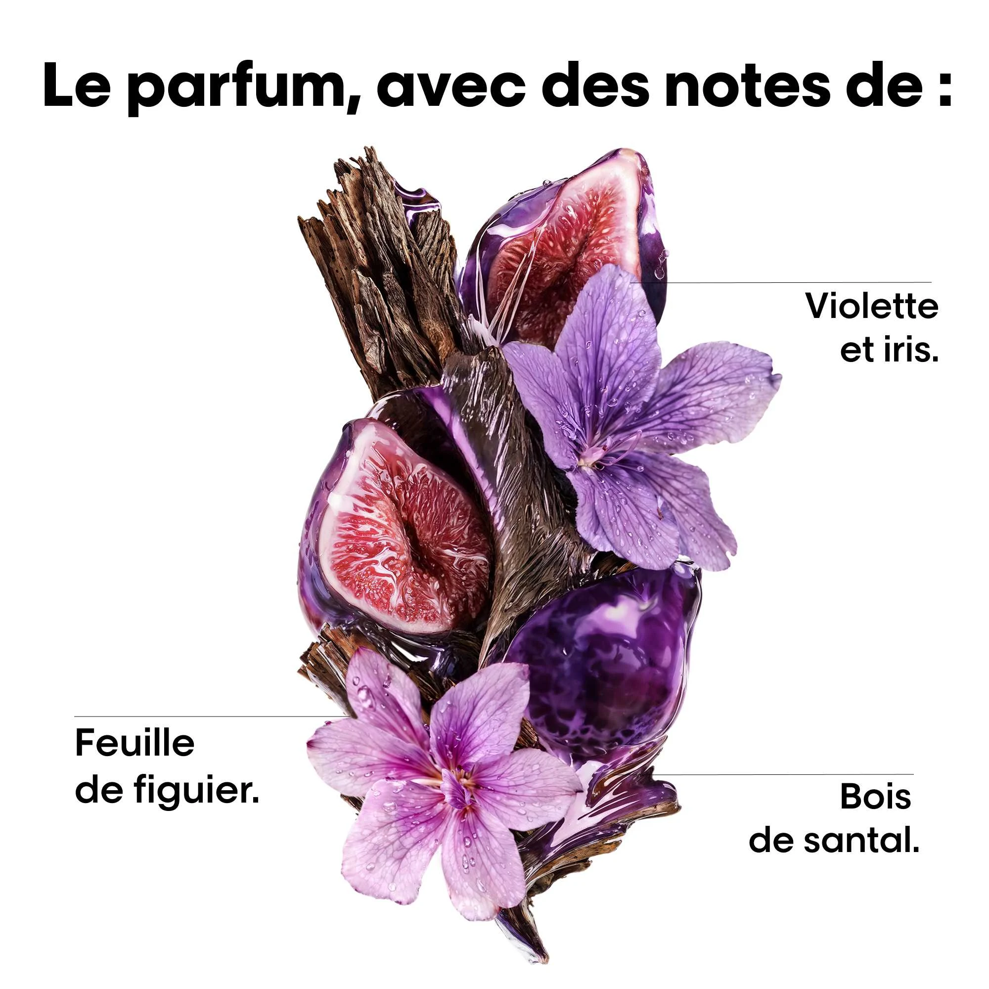 produit: Sérum à La Kératine - Serie Expert Keratin Alpha Sleek